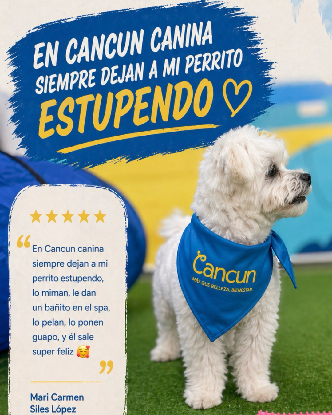 Testimonio real de Mari Carmen Siles López sobre CAN-CUN