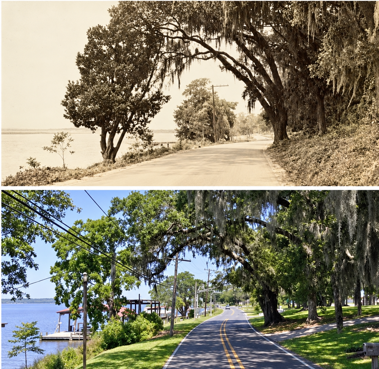 Moss Point community