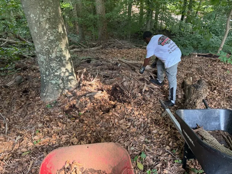 Dumpin' Loads team member clearing yard debris on a customer property