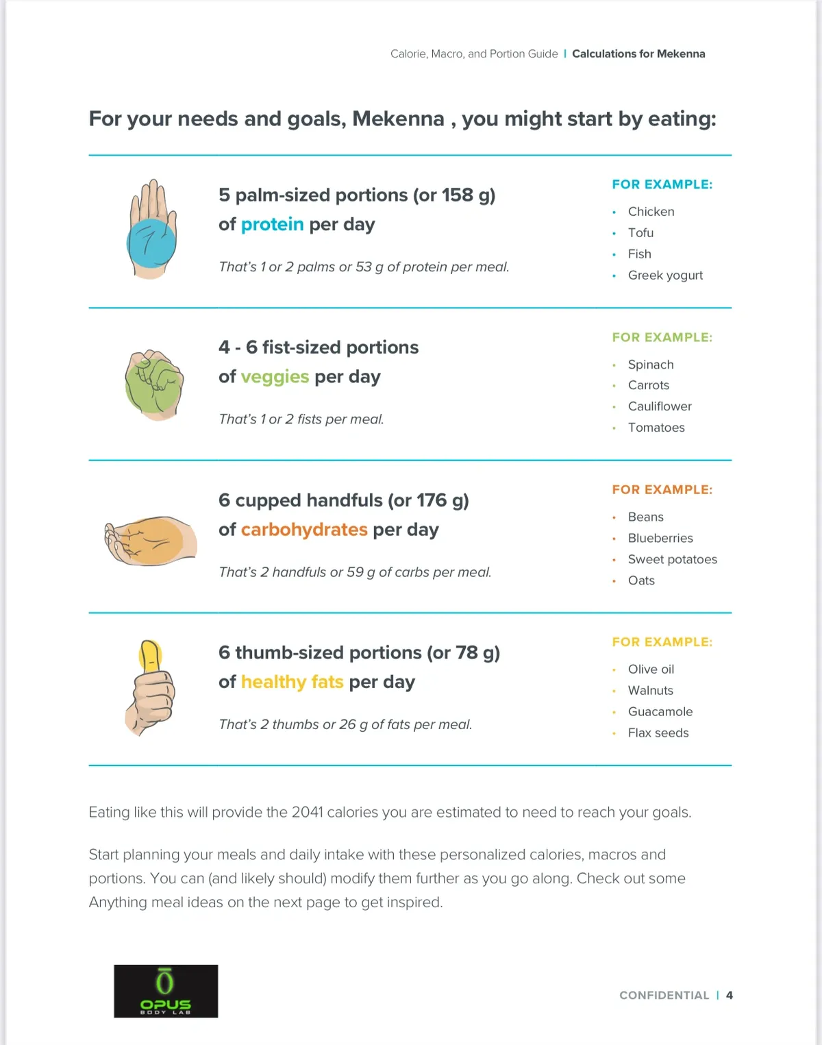 example Nutrition Plan for fat loss