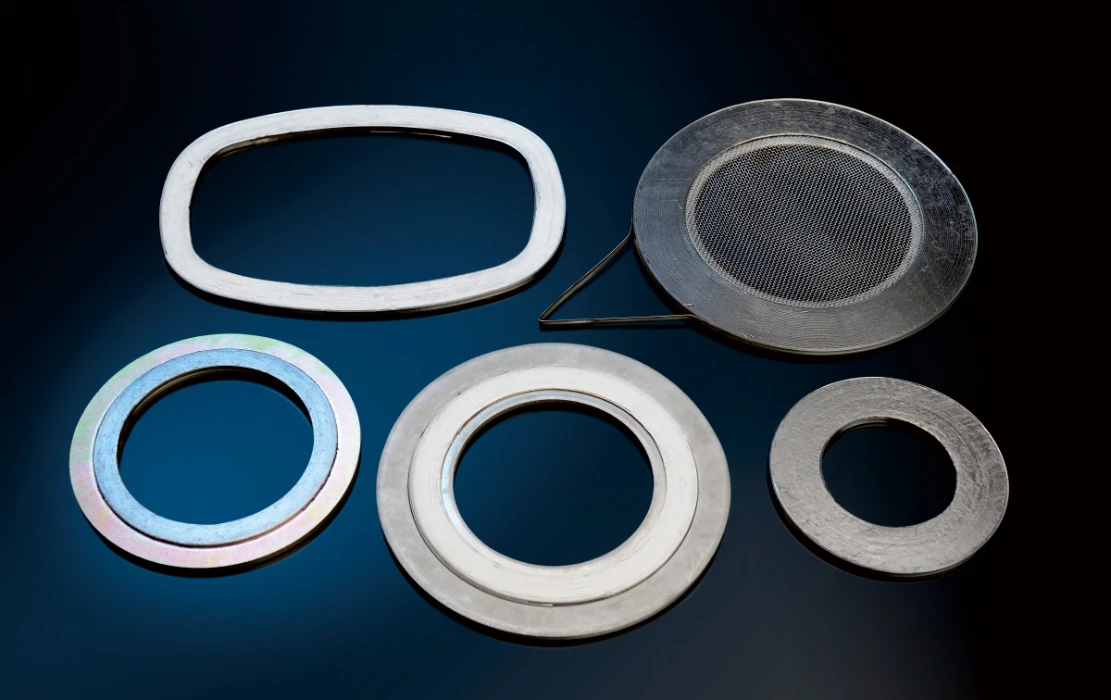 Stainless Steel Gasket Seals: What Assureaseal SSC Solves That a Standard Gasket Never Will