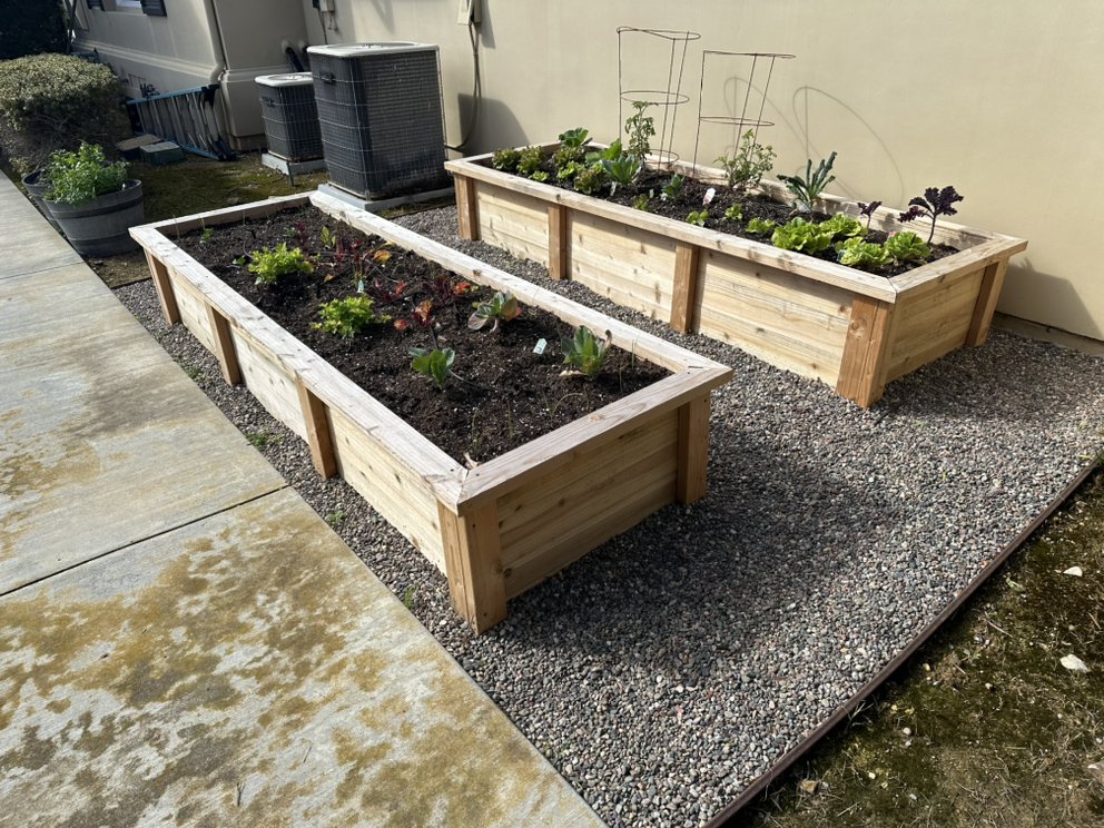 Commercial landscape maintenance Orange County