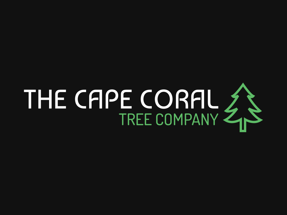 Affordable Tree Service Cape Coral FL The Cape Coral Tree Company