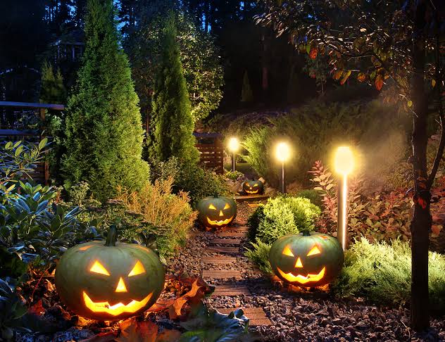 Halloween Lighting — Spooky Outdoor Atmosphere