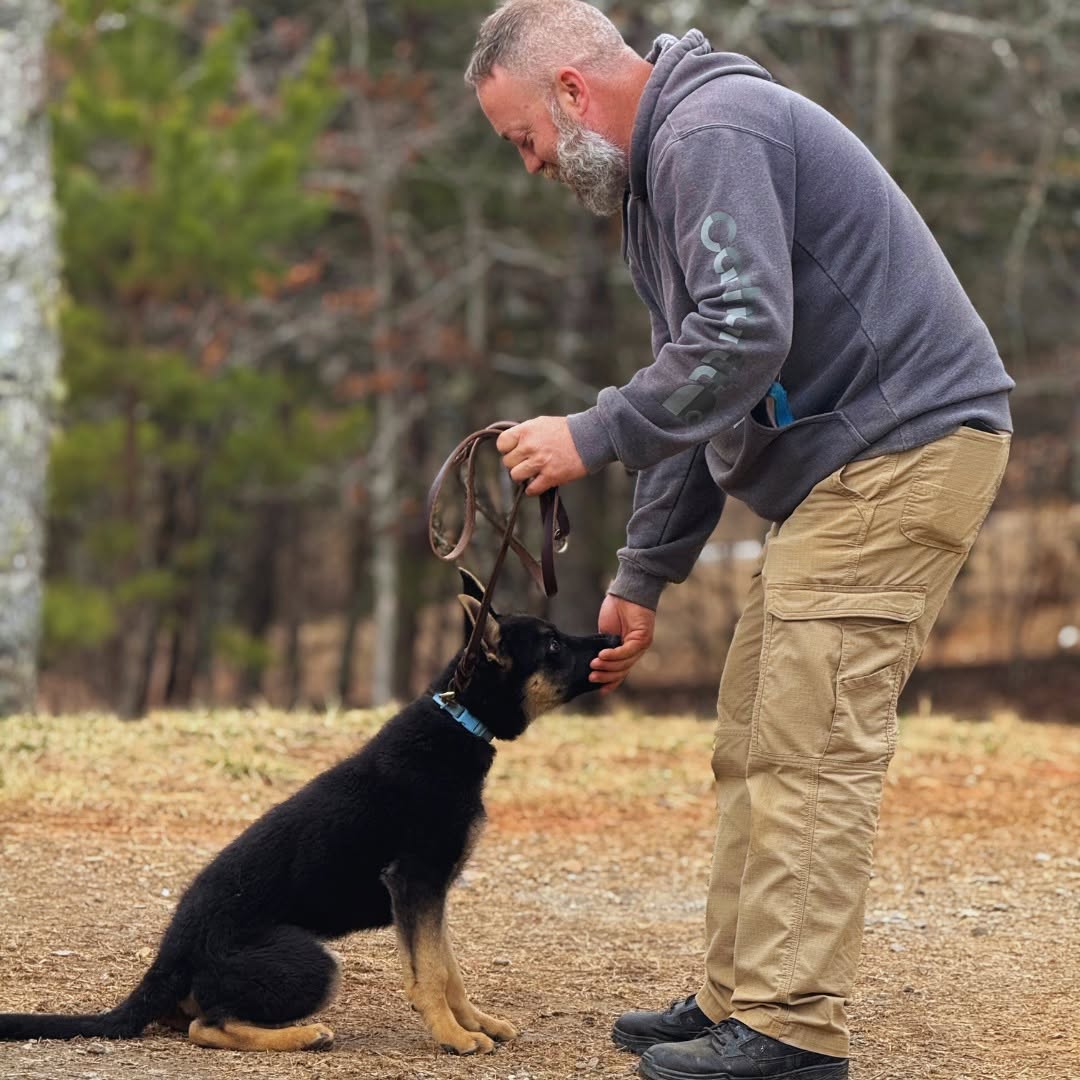 Training at Canine Unlimited Offleash Pawtential, Warne NC