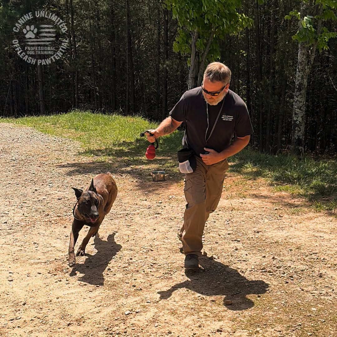 Training at Canine Unlimited Offleash Pawtential, Warne NC