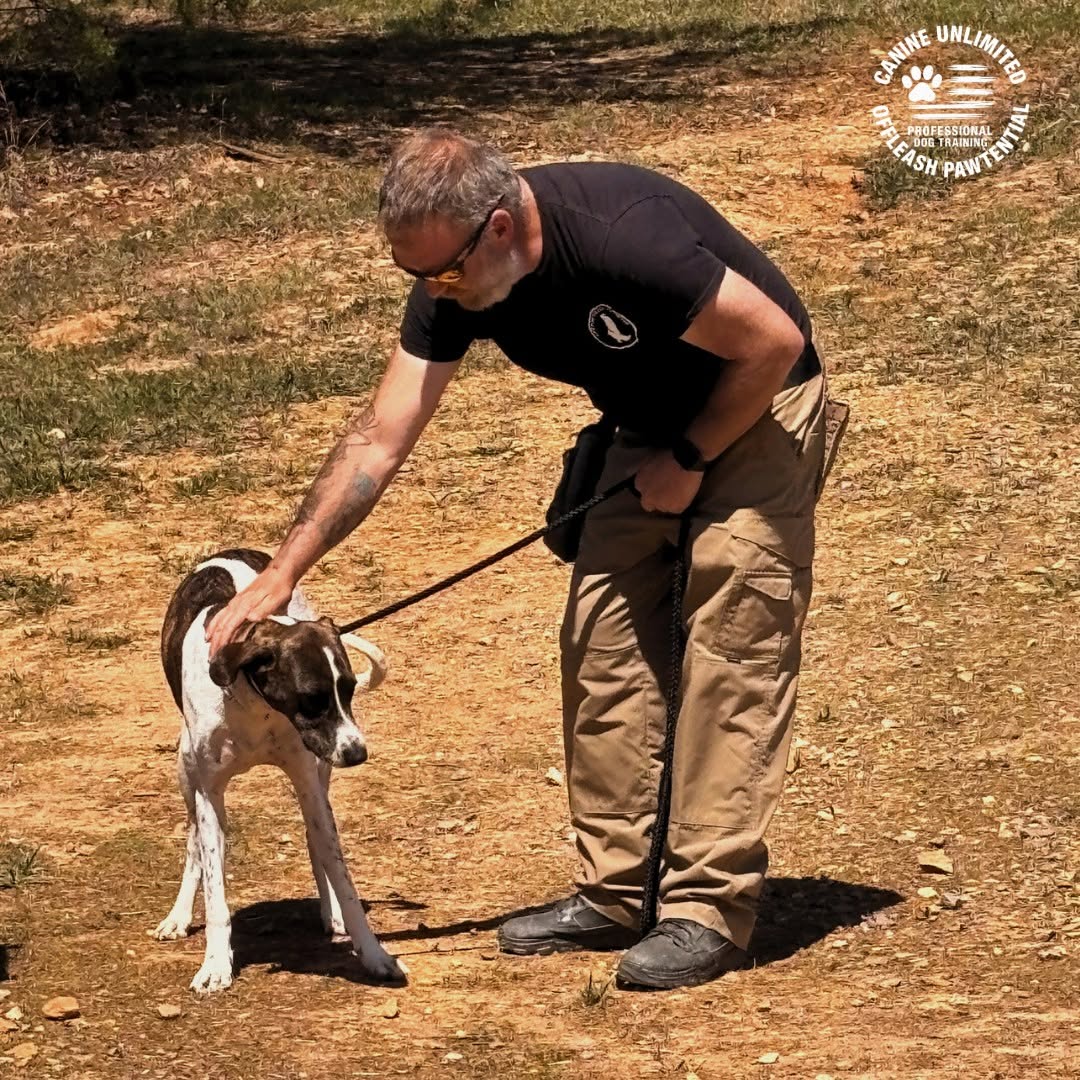 Training at Canine Unlimited Offleash Pawtential, Warne NC