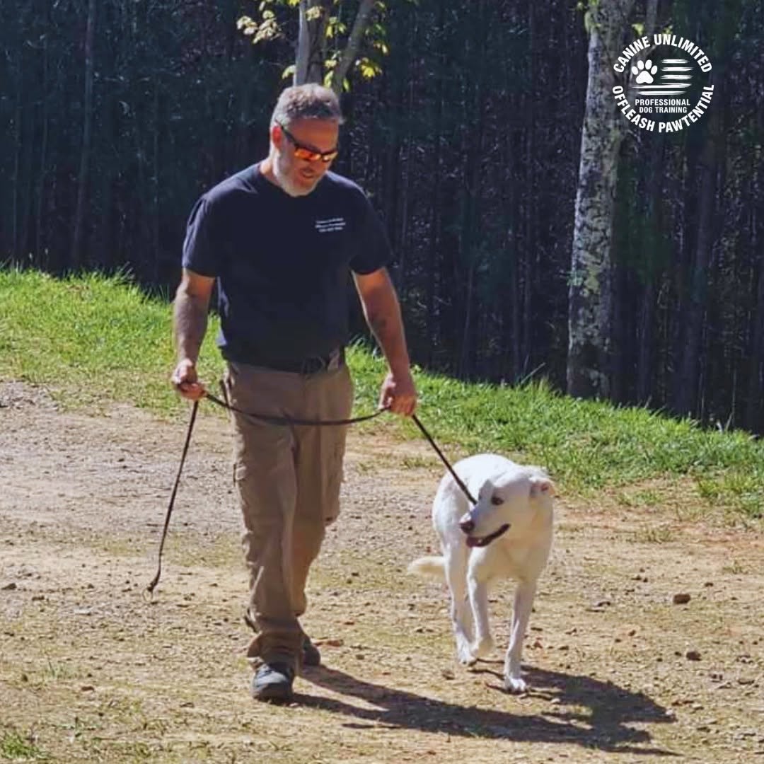Training at Canine Unlimited Offleash Pawtential, Warne NC