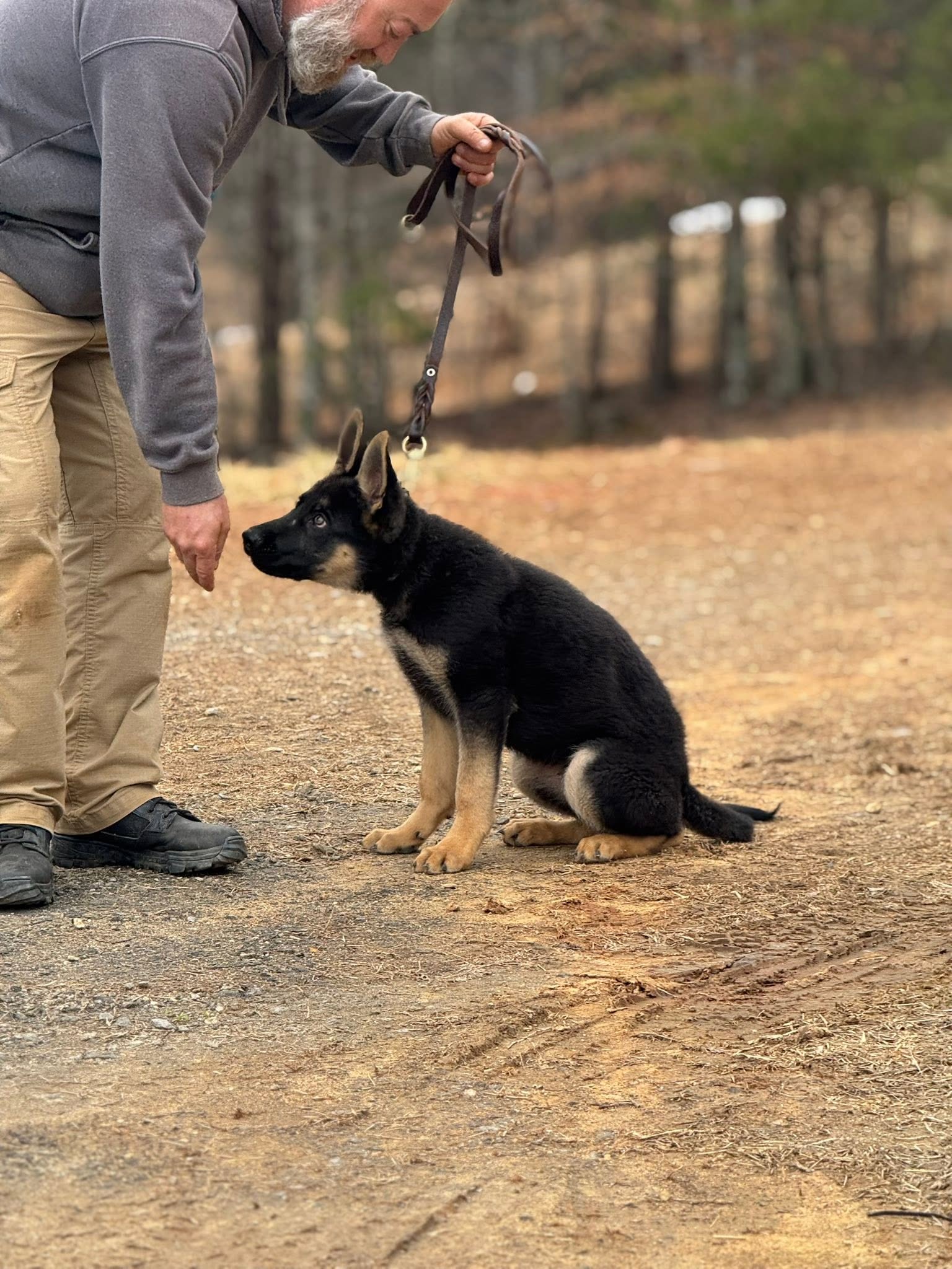 Thomas Wittliff working a dog at Canine Unlimited Offleash Pawtential