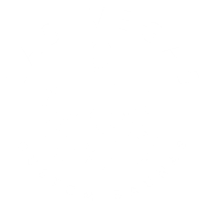 Las Vegas Custom Saunas Logo