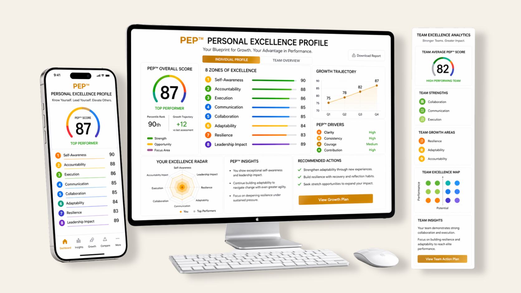 Personal Excellence Profile Assessment diagnostic visual