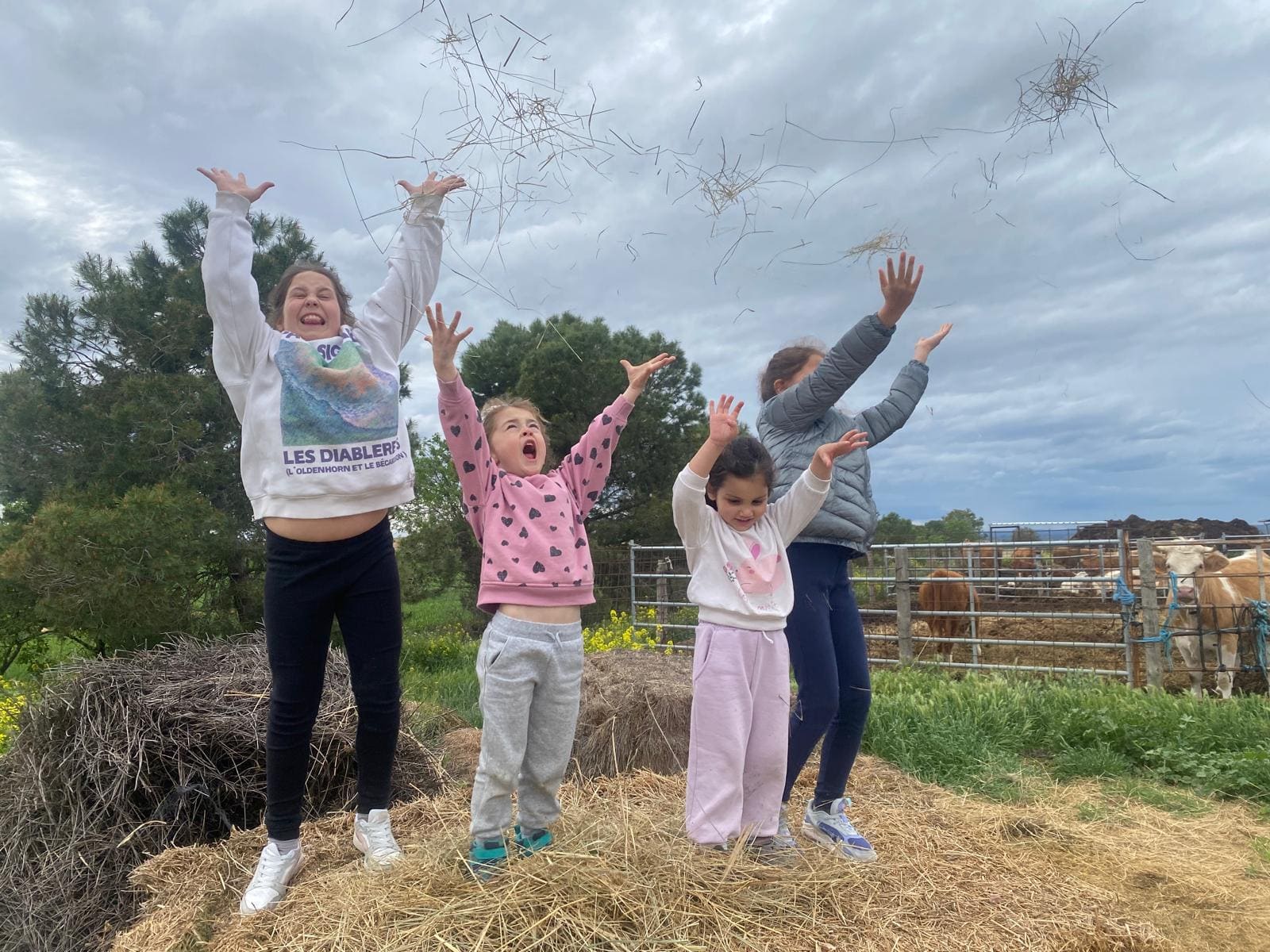 Naturaleza del Pirineo · EcoTravel Pirineos