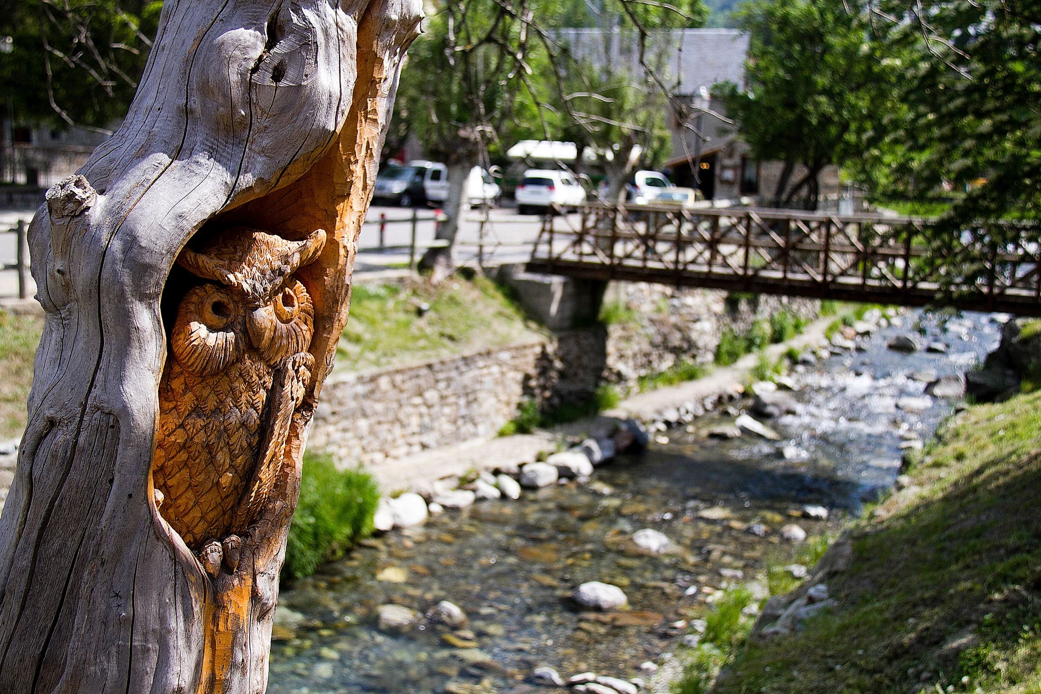 Visita guiada Sallent