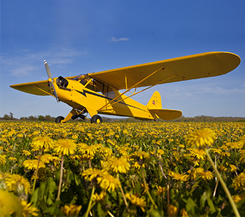 Tailwheel plane in field