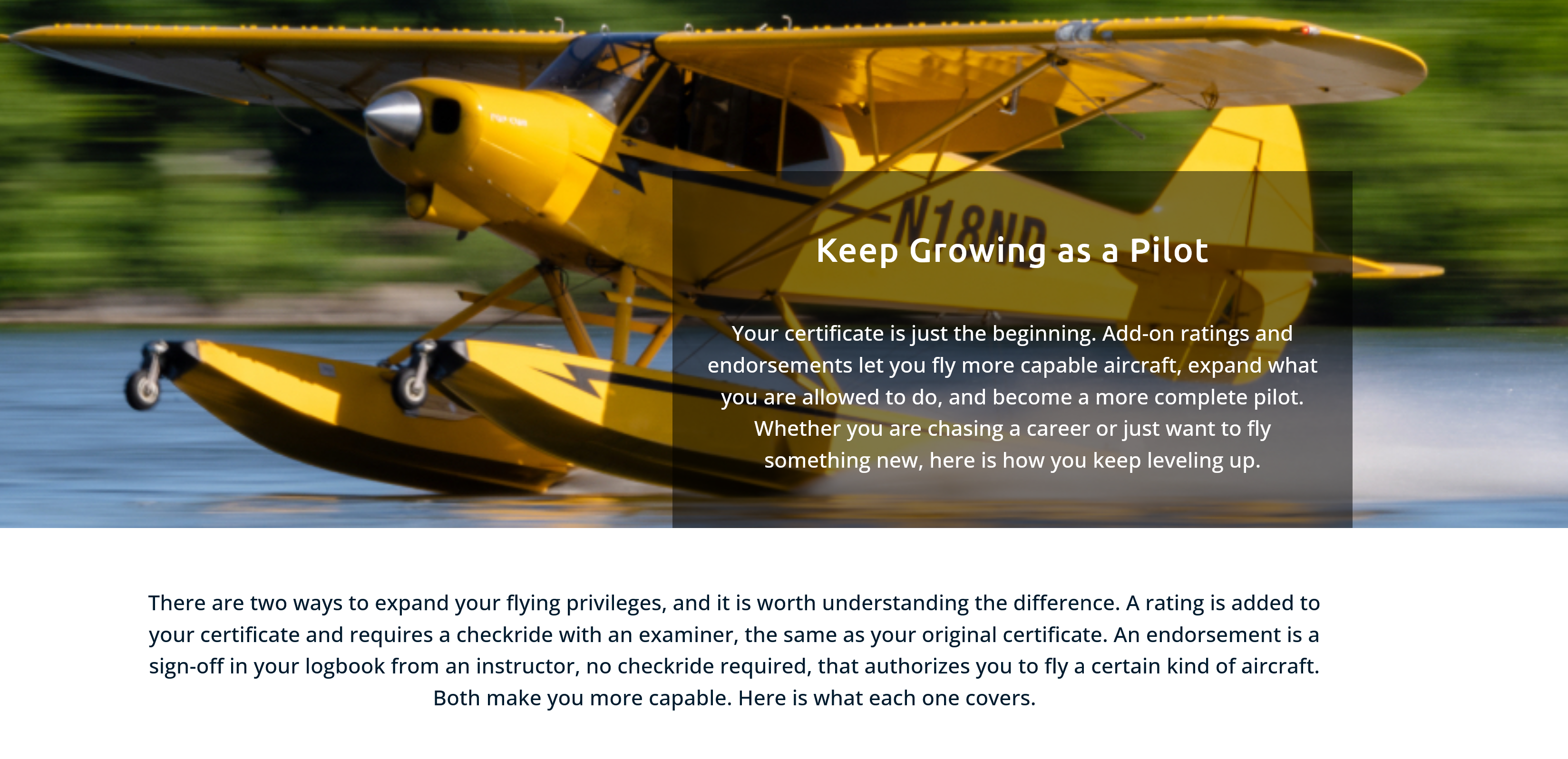 Your website