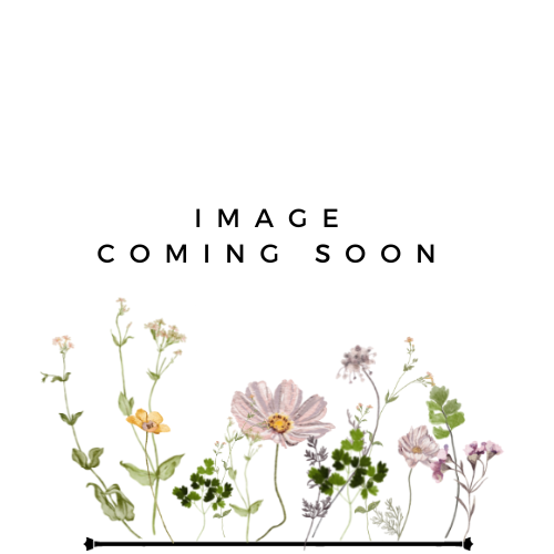 custom floral preservation 