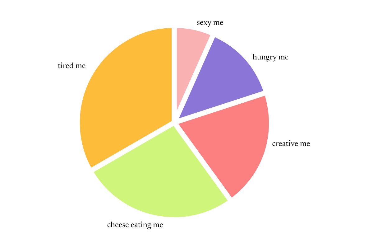 funny pie chart with sections including 'sexy me' 'hungry me' 'cheese eating me' 'tired me'