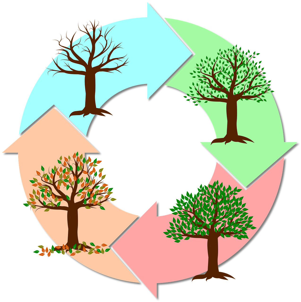Cycles Cycles