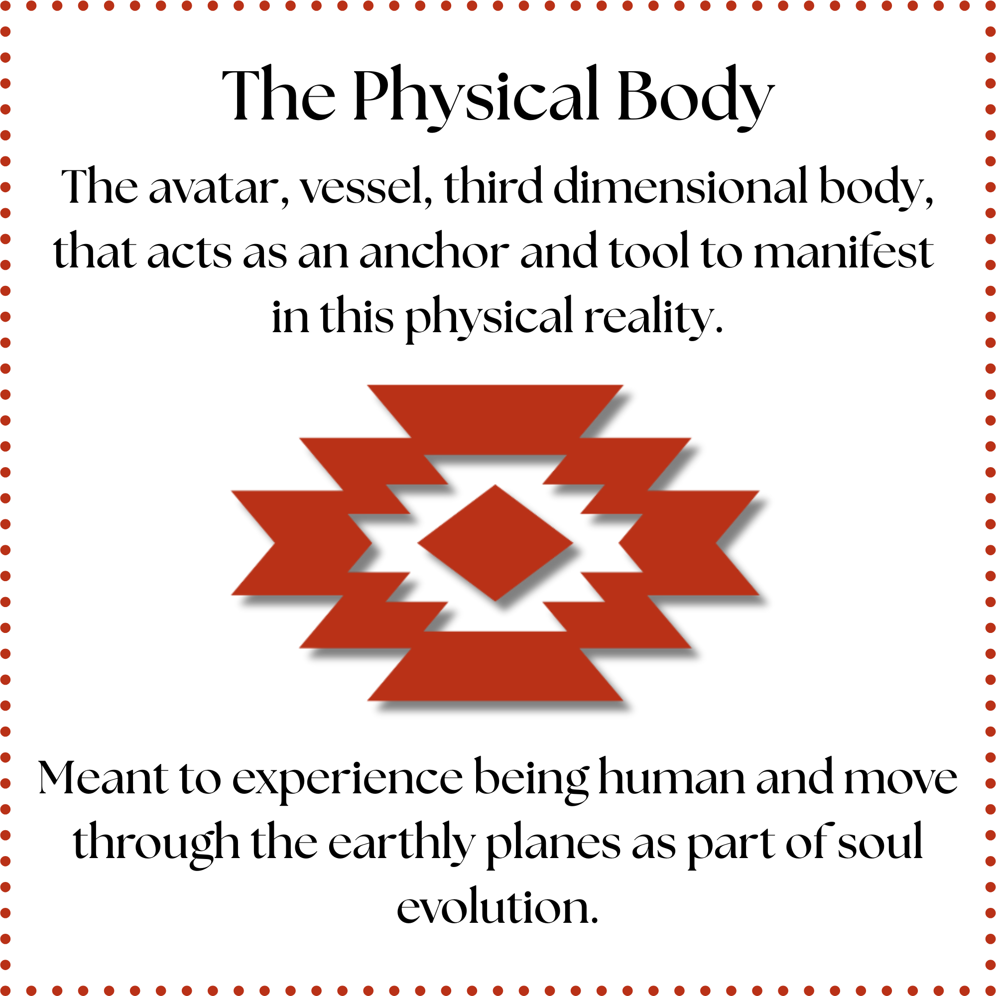 The Physical Body The Physical Body