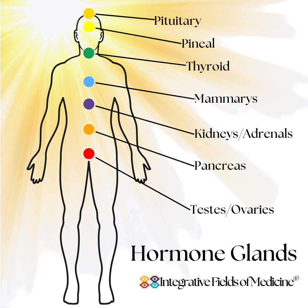 Hormone Light Centers