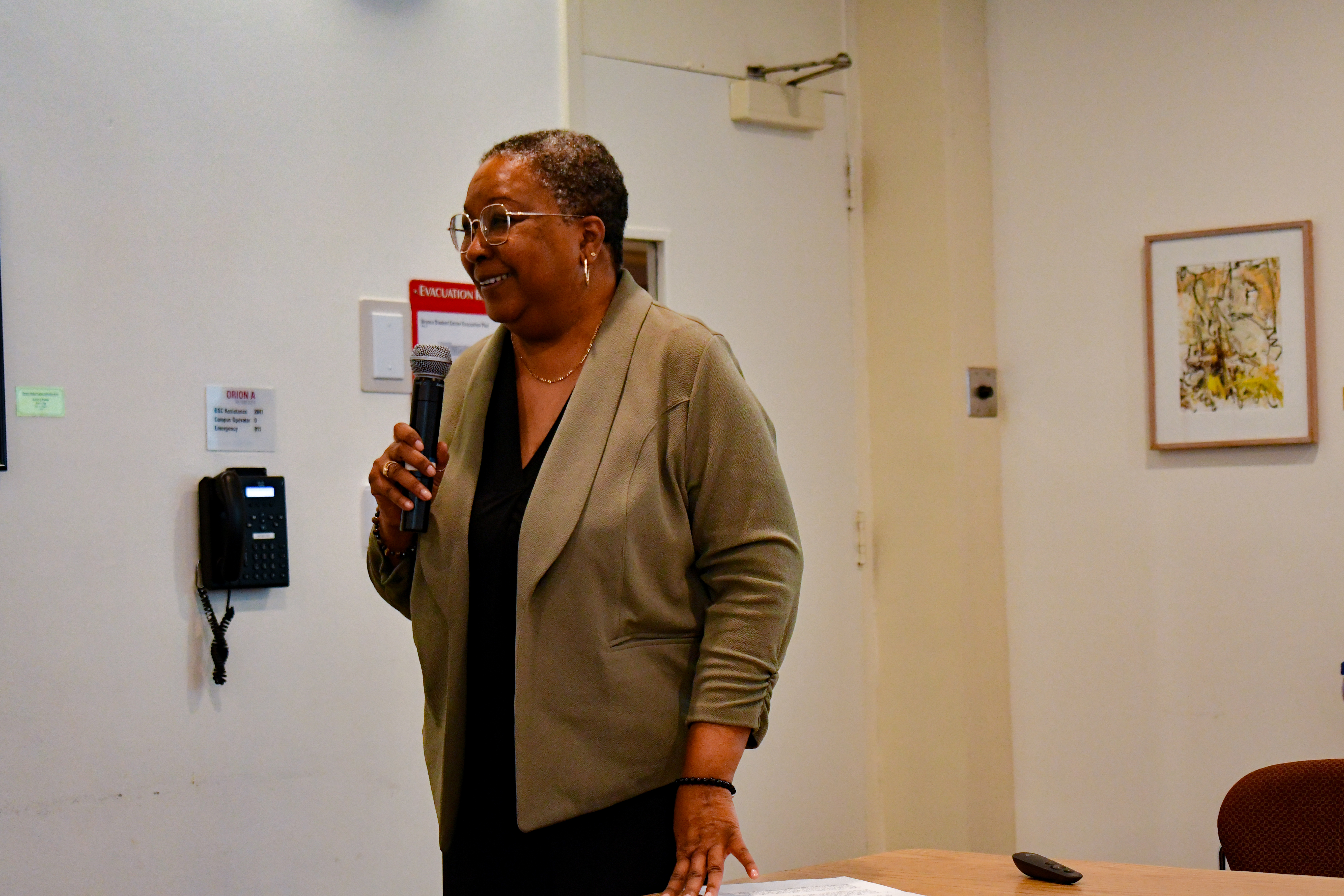 Brenda Walker presenting to a group