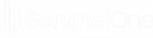 SentinelOne