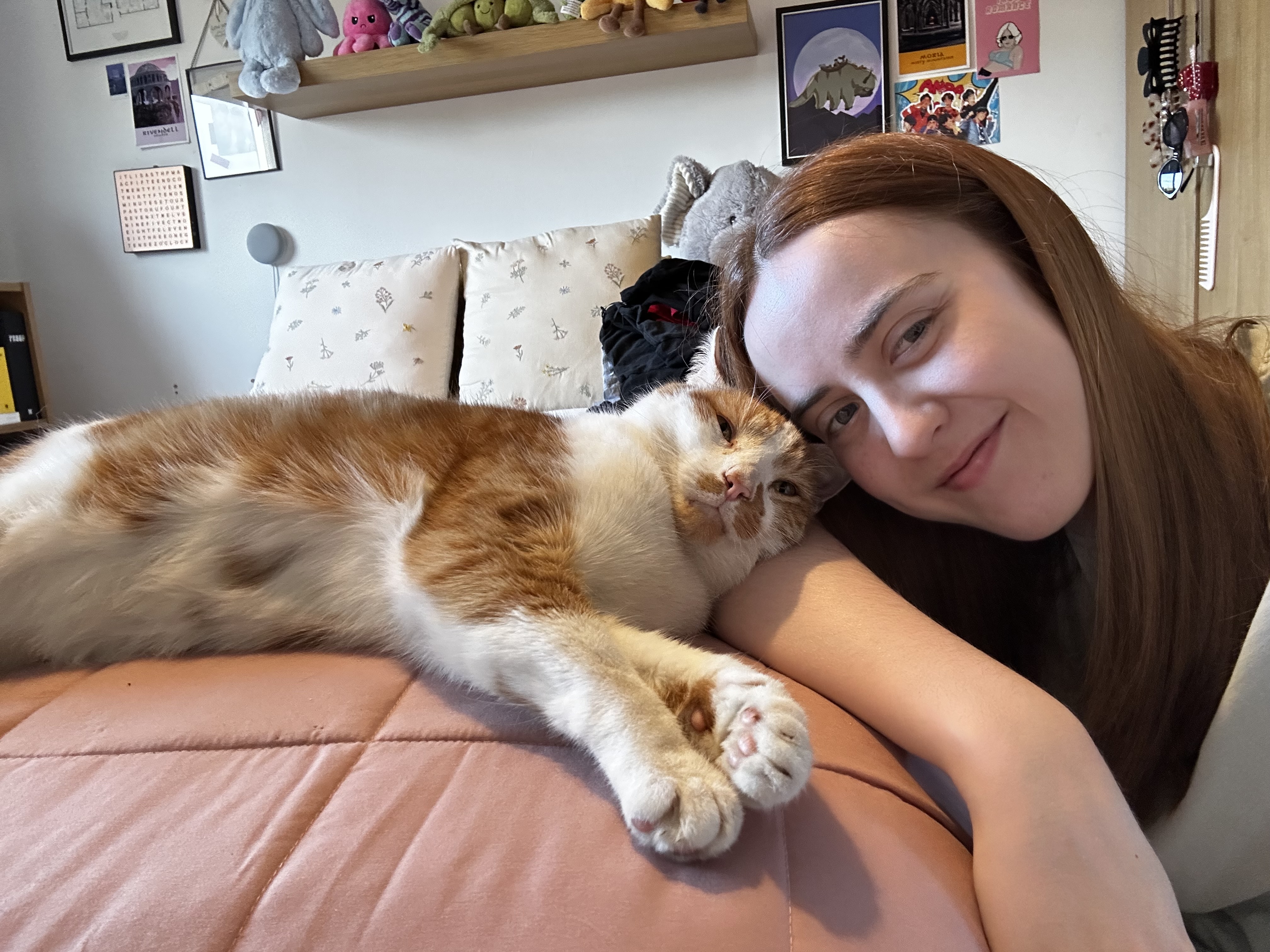 Happy cat at home during cat sitting visit