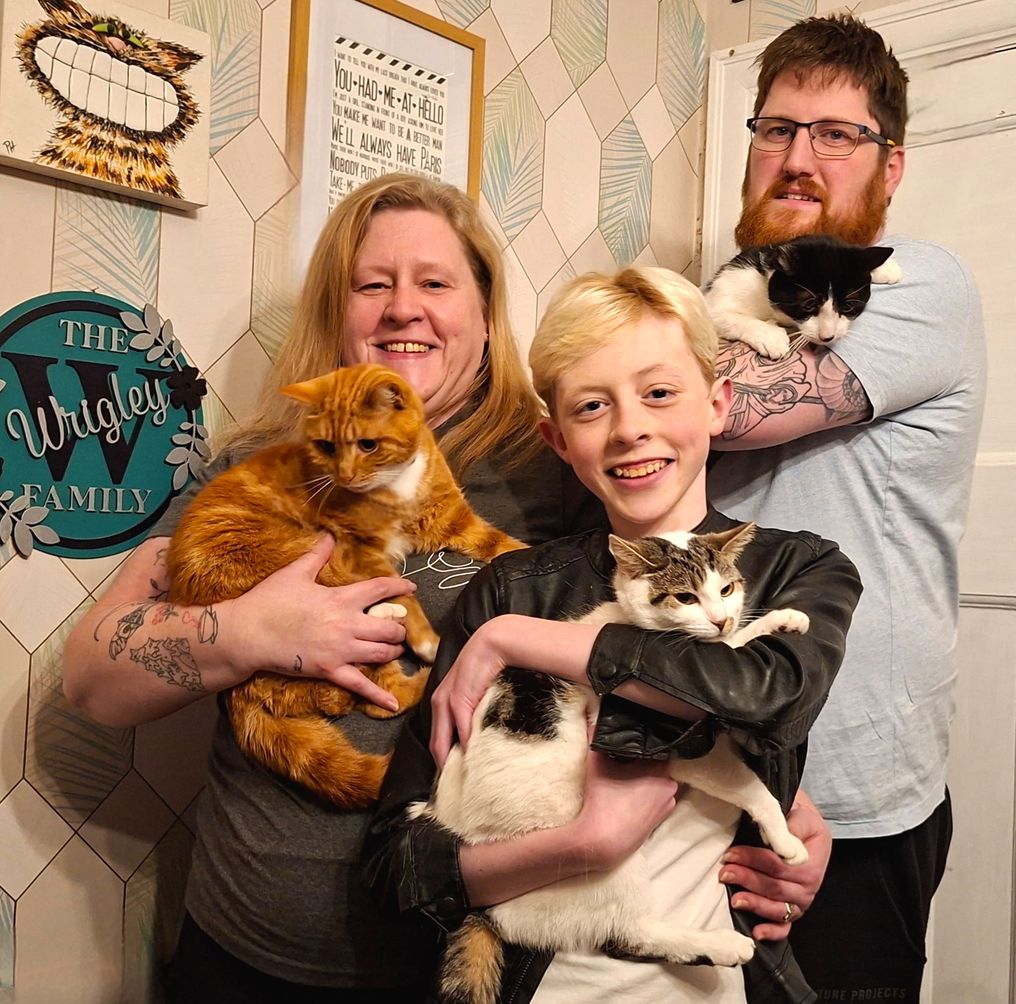 My Three Cats Blackpool Rachel Wrigley