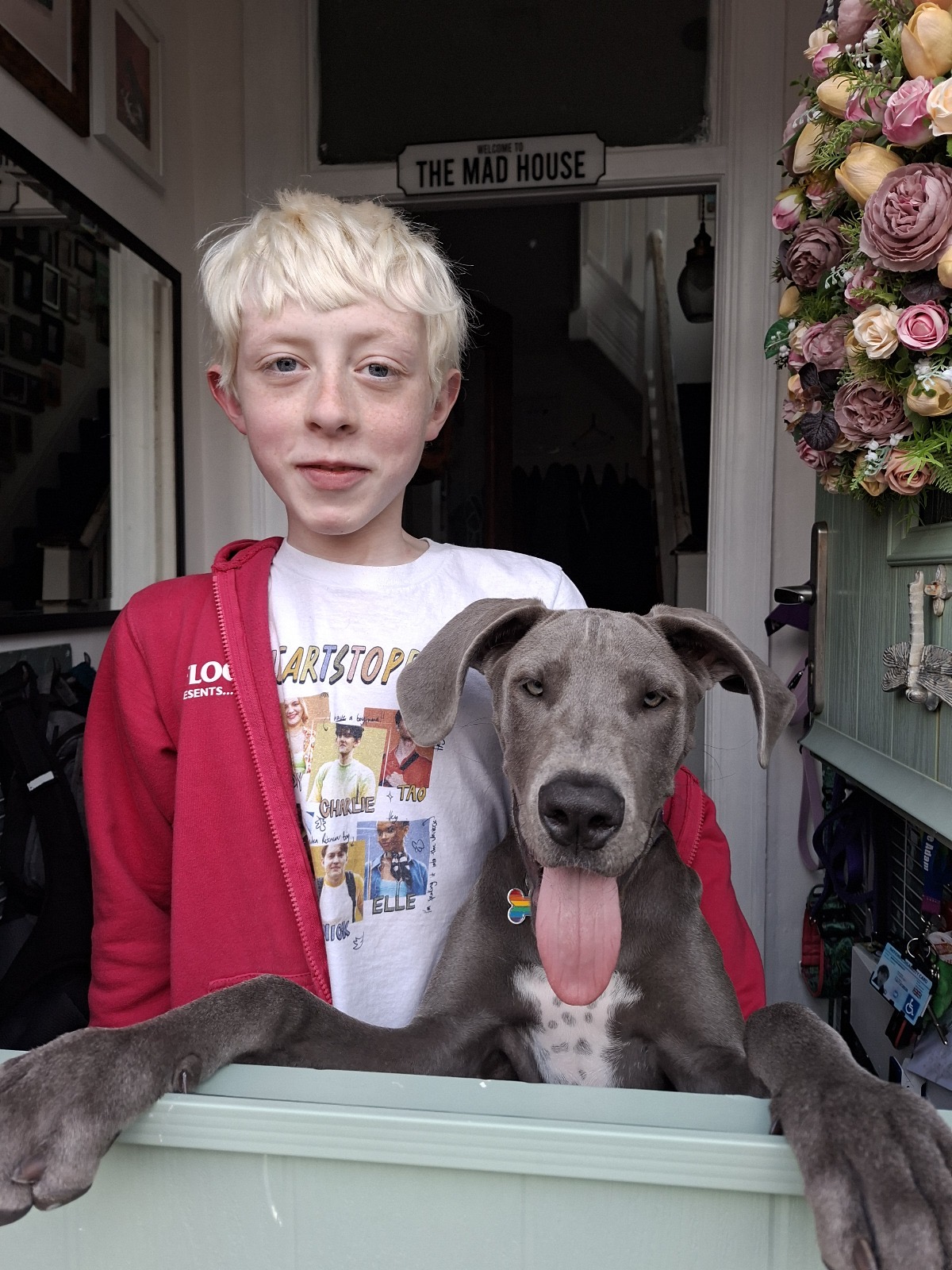 My Three Cats Lytham St Annes