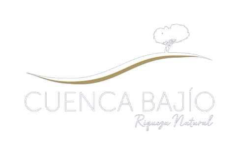 Cuenca Bajío - 
