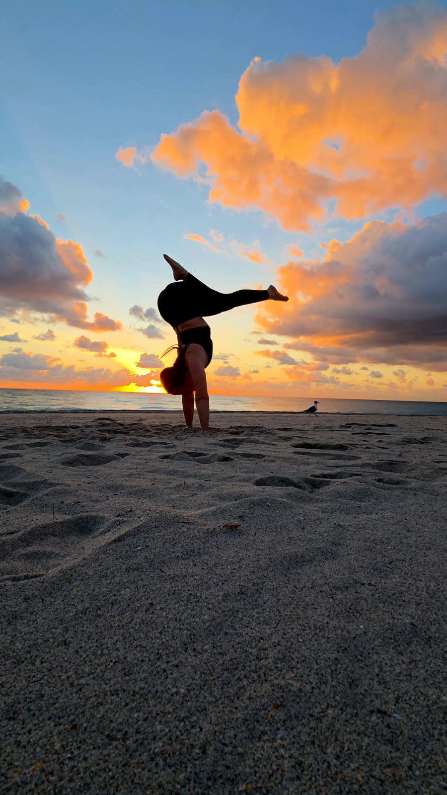 FLEX-ED student performing a handstand shape at sunset