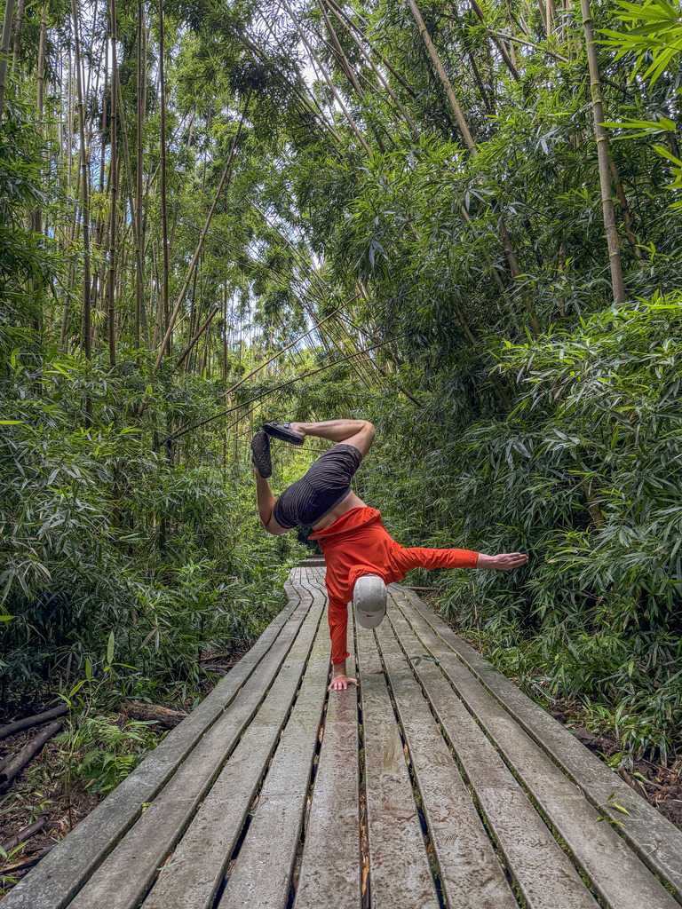 Peter — one-armed handstand in nature