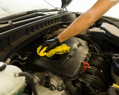 Engine Bay Detailing in Brandon, FL