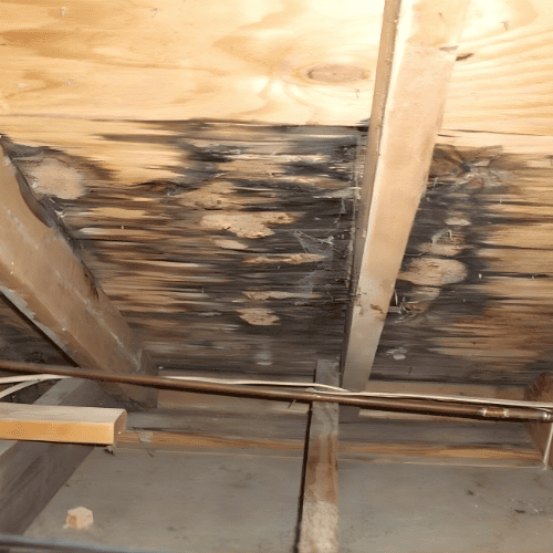 Professional roofing company serving Calgary homeowners