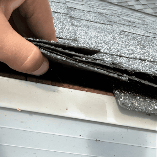 Asphalt shingle roof replacement in Calgary Alberta