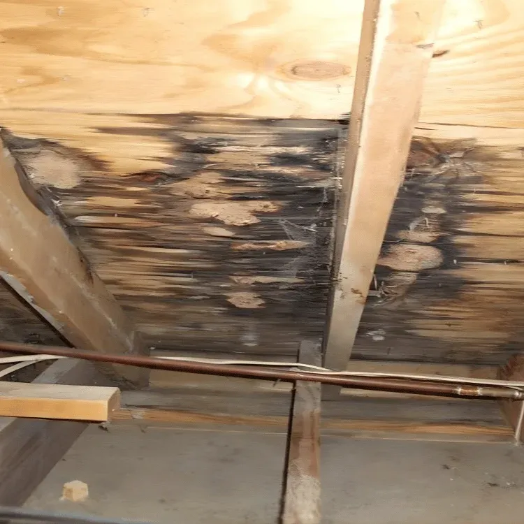 Professional roofing company serving Calgary homeowners