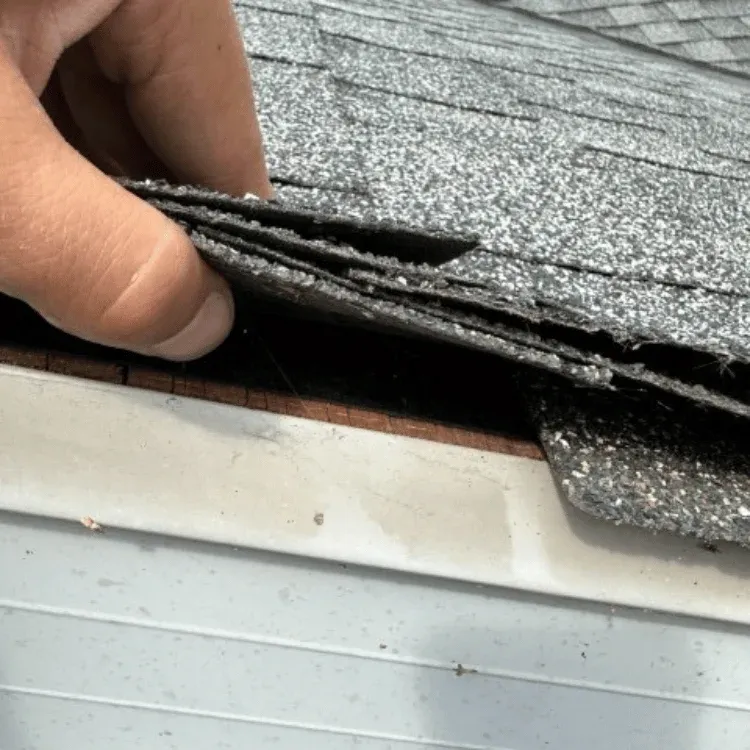 Asphalt shingle roof replacement in Calgary Alberta