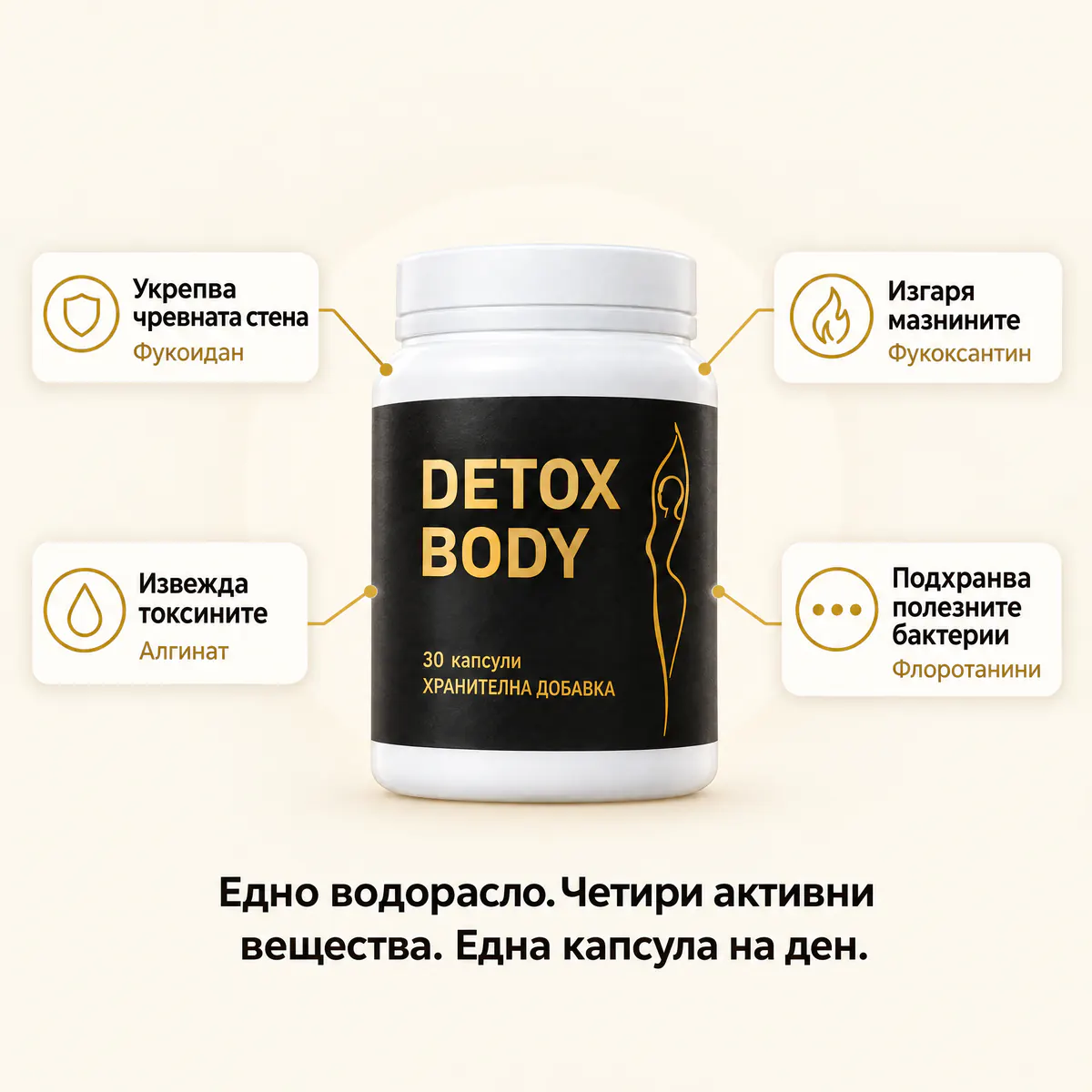 DetoxBody: укрепва чревната стена, извежда токсините, изгаря мазнините, подхранва полезните бактерии