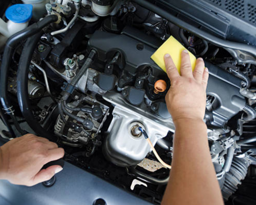 Walton County, GA Freshen Up Package