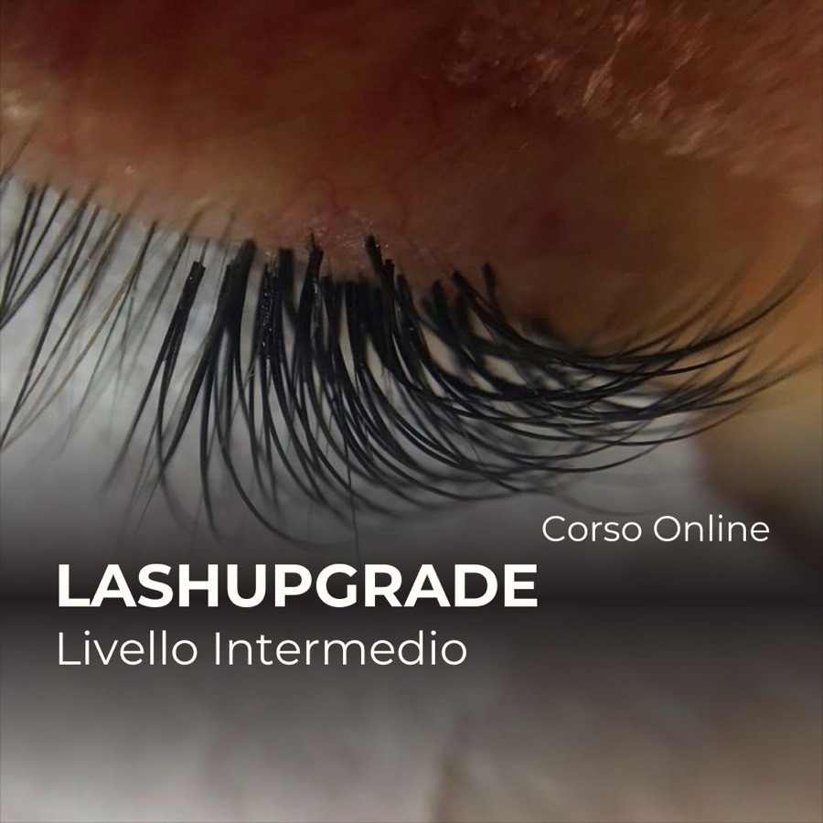 Lash Upgrade
