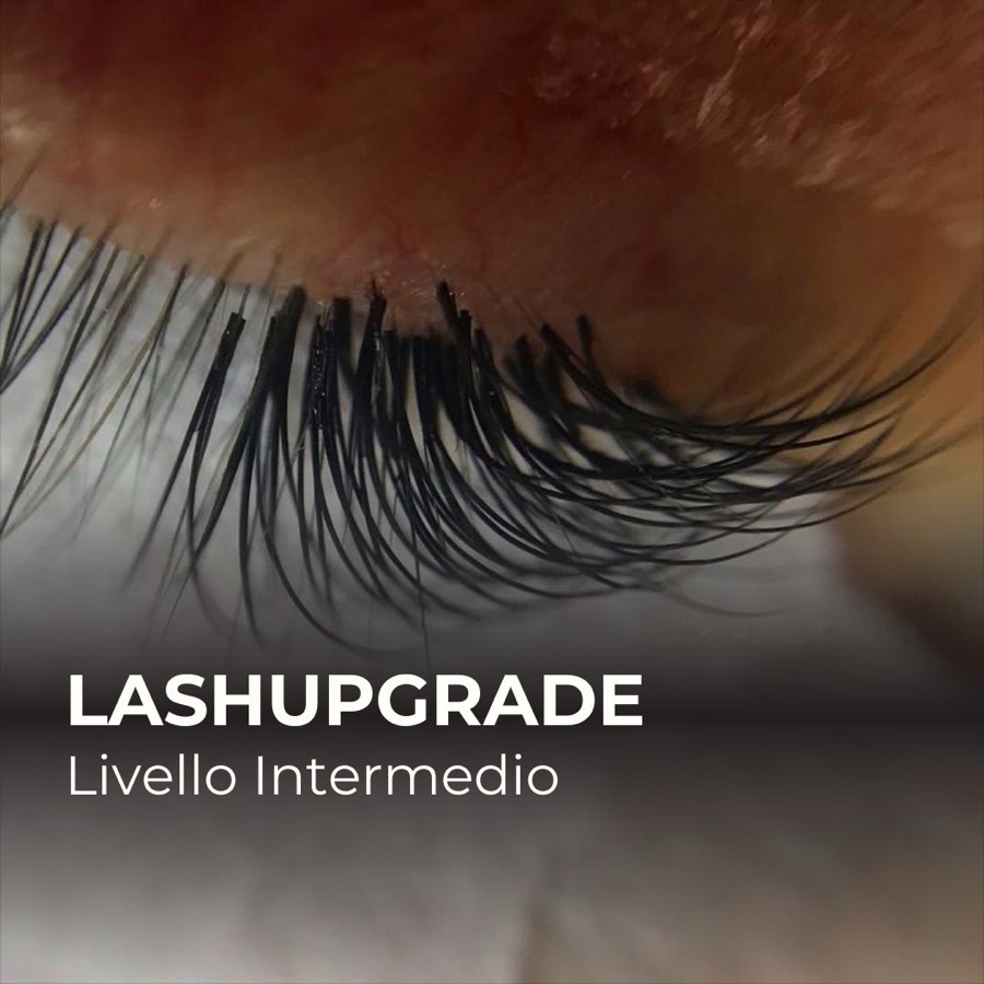 Lash Upgrade
