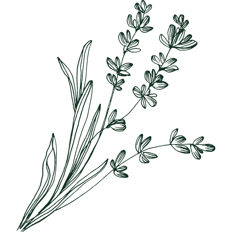 Lavender Icon