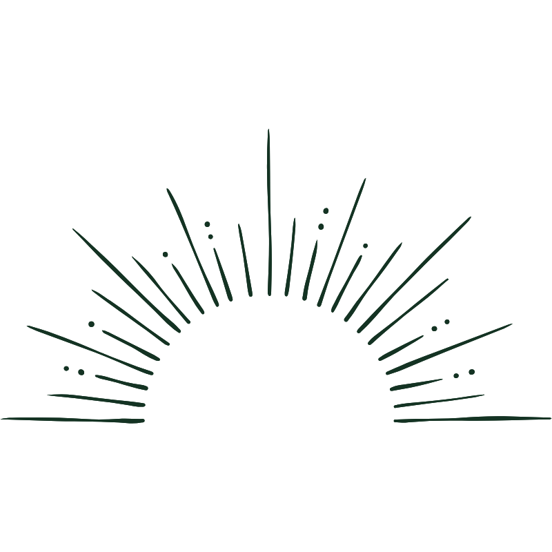 Sun Icon