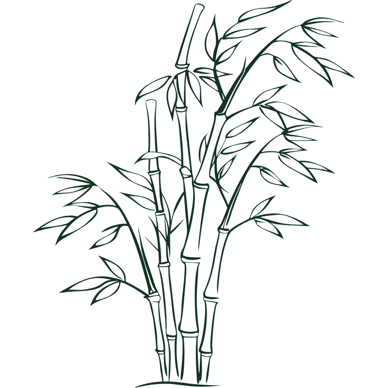 Bamboo Icon