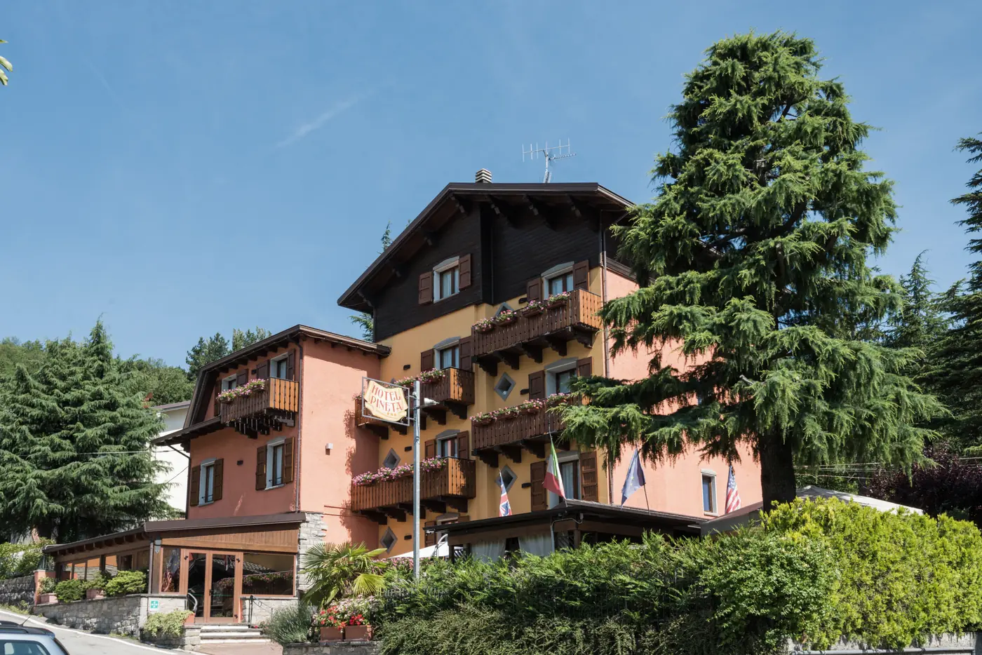 L'Hotel Pineta d'estate, con il grande pino e gli alberi del giardino