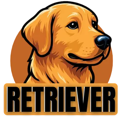 Retriever