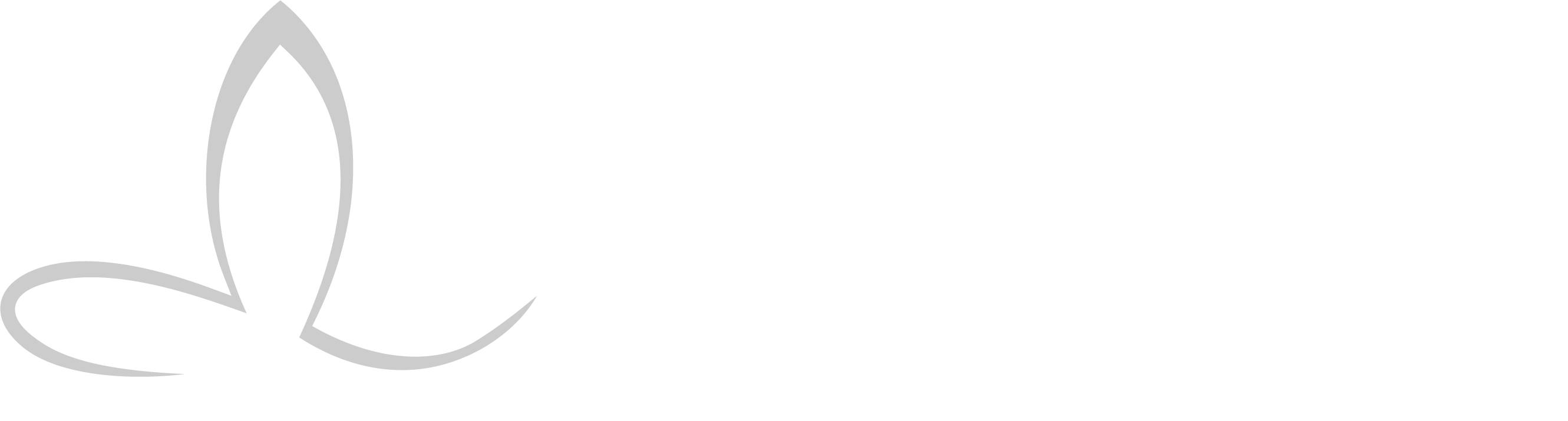 Image Clinic Logo