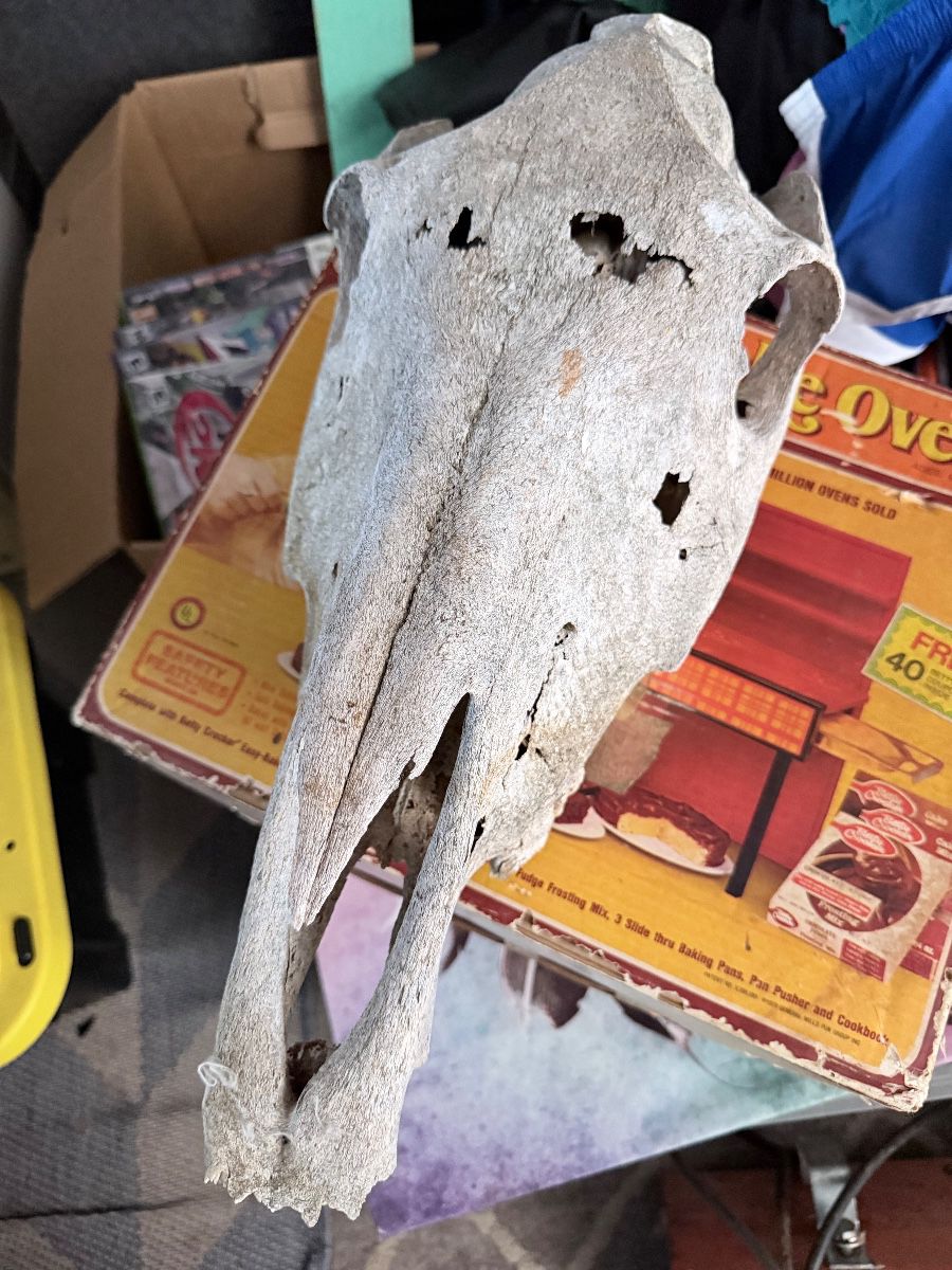 Estate sale item
