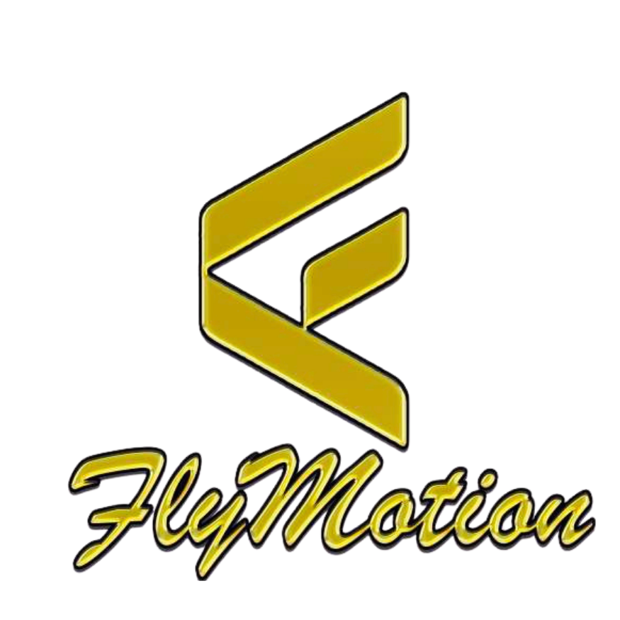 The Fly Motion Agency LLC