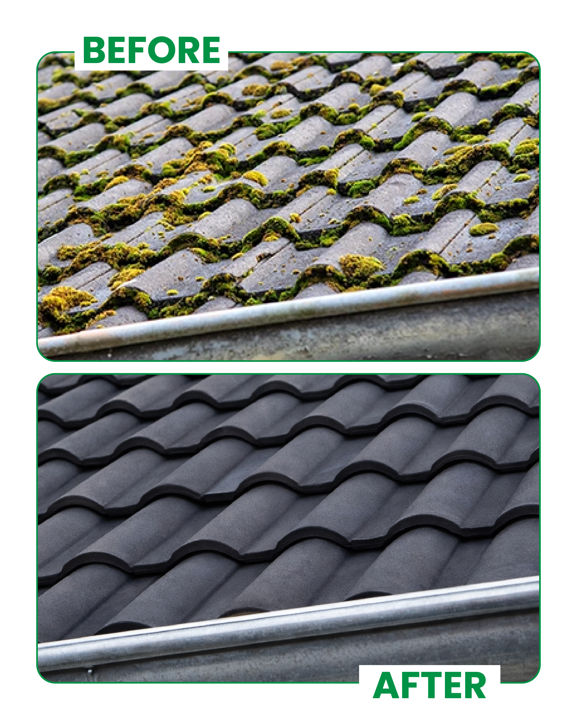 Tile Roof Cleaning